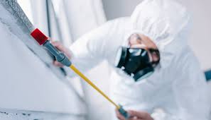 Best Real Estate Pest Inspections  in Mission, OR